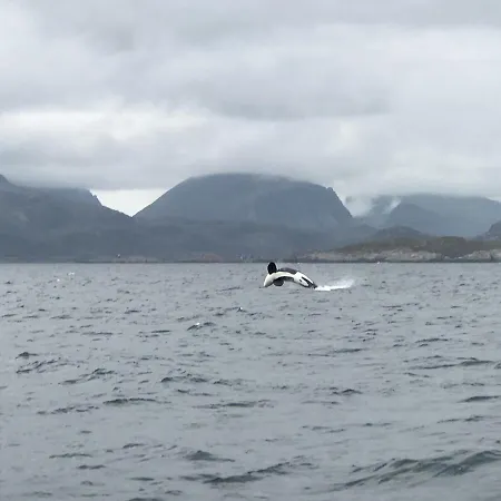 Fishermans Rorbu 2 - Lofoten Apartmán *