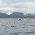 Fishermans Rorbu 2 - Lofoten شقة *