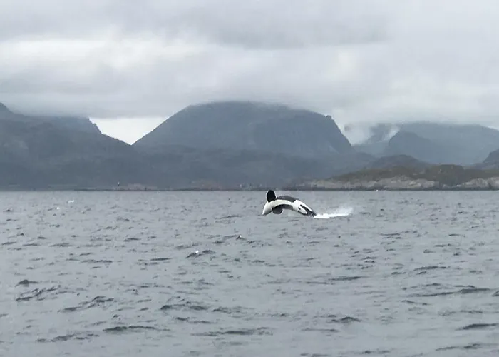 Fishermans Rorbu 2 - Lofoten アパート *